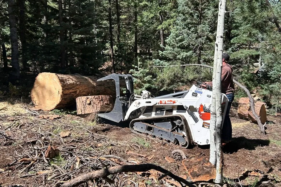 land clearing